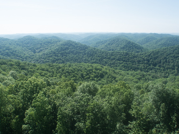 Fire Tower